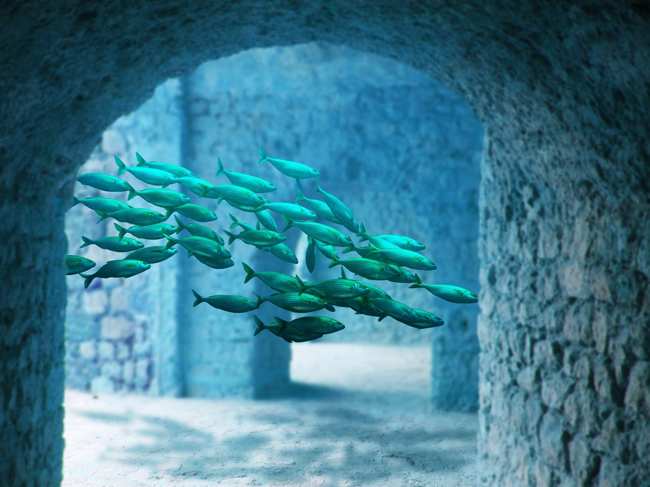 The Role of the ROVs in Underwater Recovery Operations